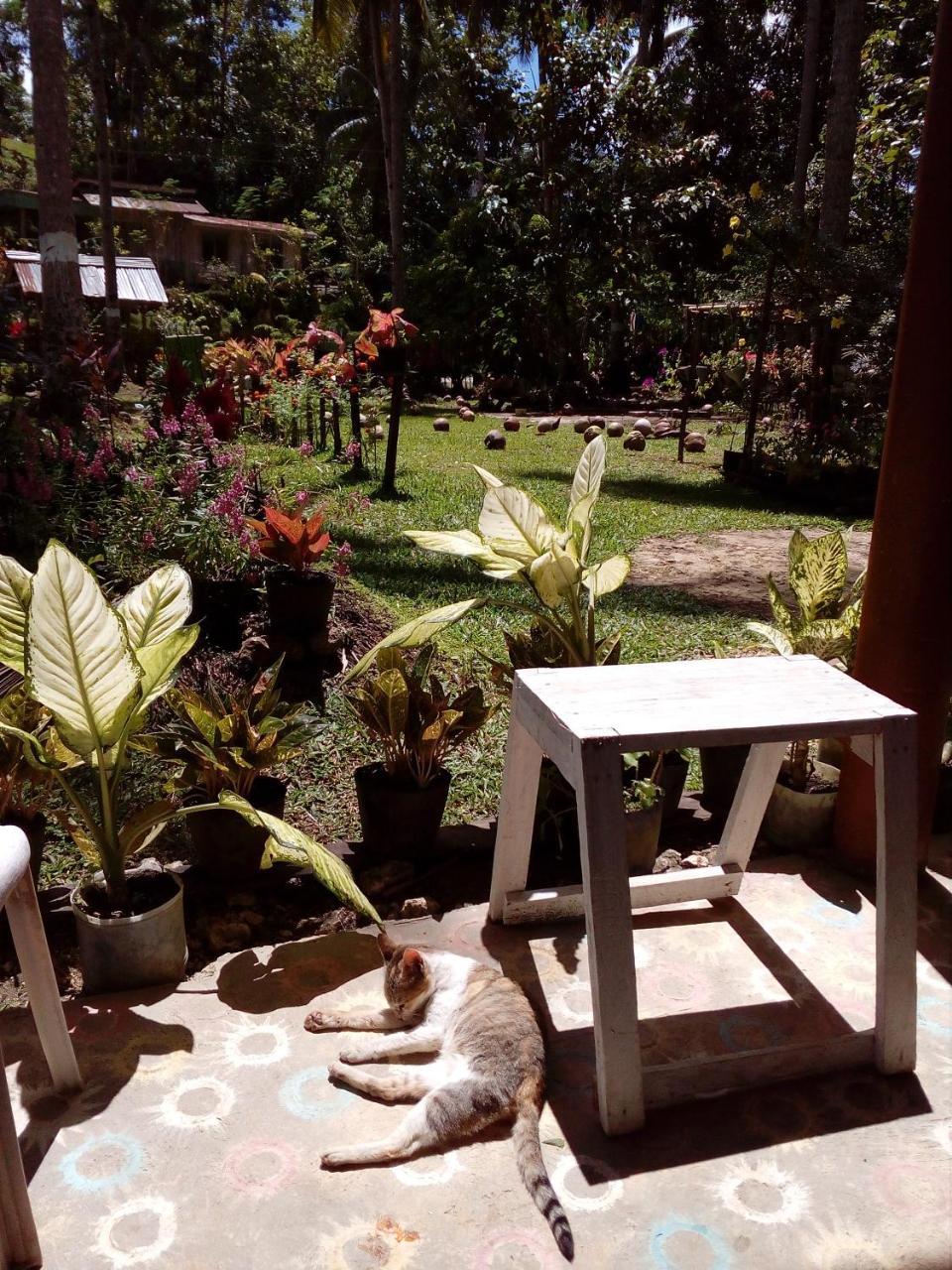 Batuan Hammock Hostel Exteriér fotografie